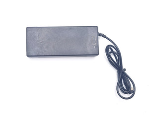 Dualtron Storm Charger