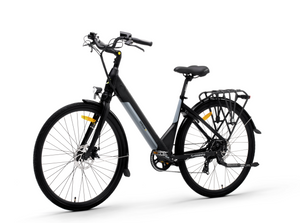 Argento Omega Electric Bike