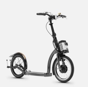 SwiftyONE-E Electric Scooter